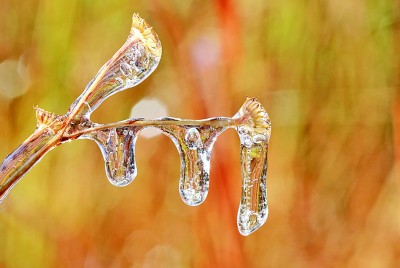 清晨瓦上雪微凝 第 1 张