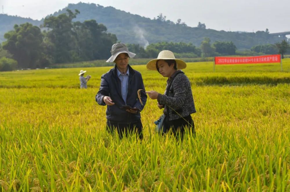 [组图]农民日报：今夏罕见高温干旱，为何秋粮还丰收？ 第 3 张