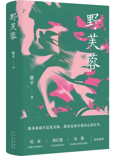 [组图]长篇小说《野芙蓉》：70后的心灵回溯