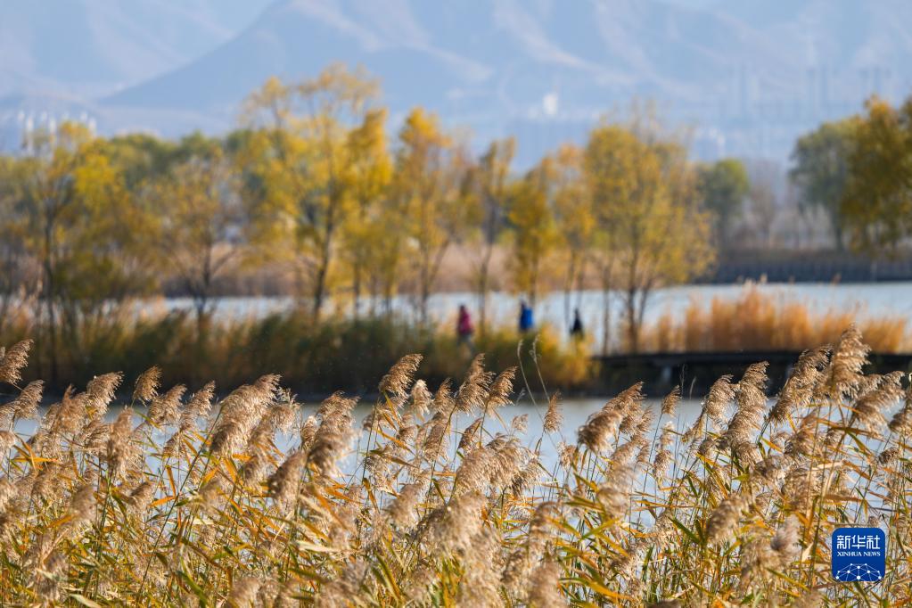 [组图]北京：秋日野鸭湖 第 5 张