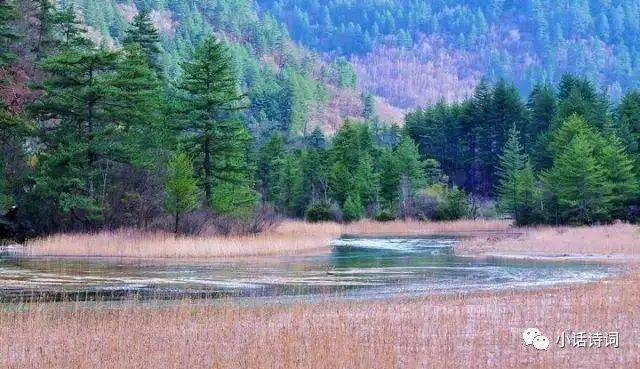 [图文]最美人间四月天：有惠风和畅，有春风化雨，那么古诗中的春风又是怎样的呢？ 第 4 张