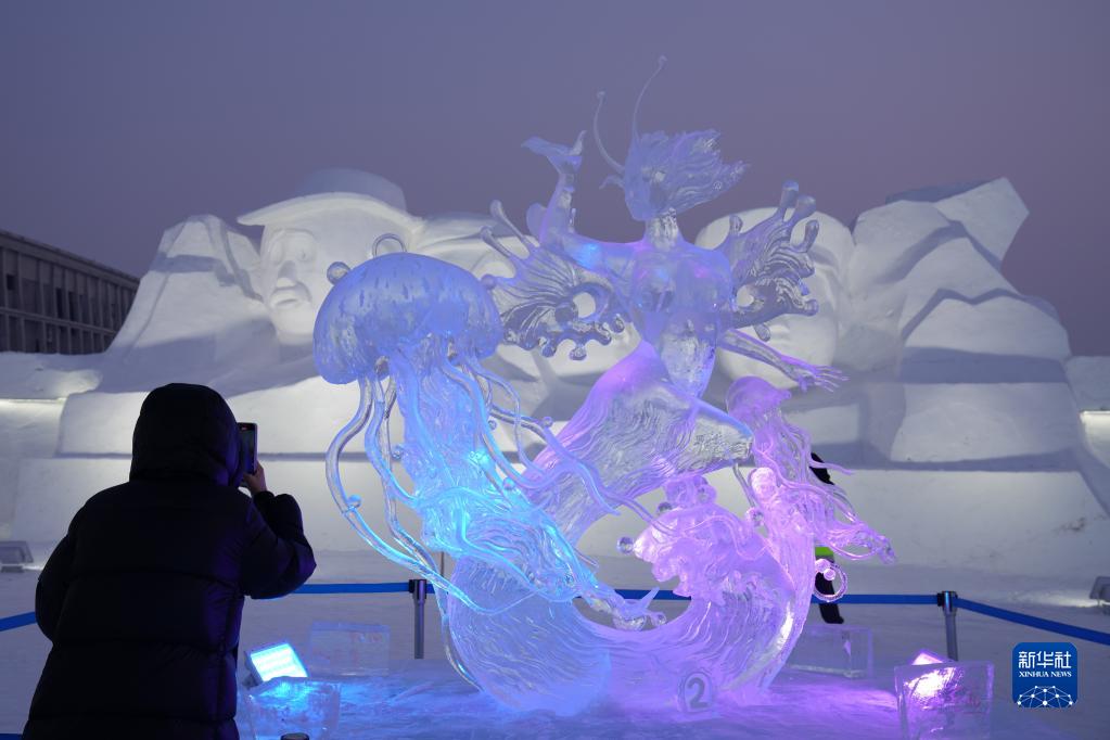 哈尔滨冰雪大世界：魅力冰雕引客来 第 6 张
