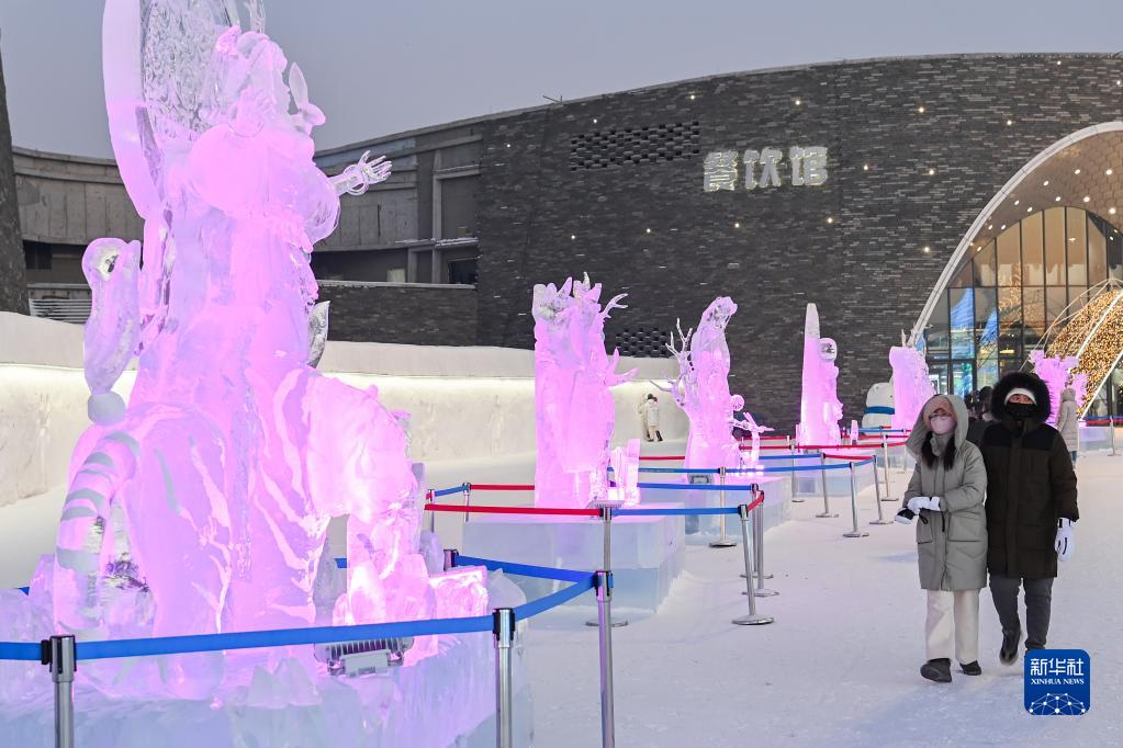 哈尔滨冰雪大世界：魅力冰雕引客来 第 4 张
